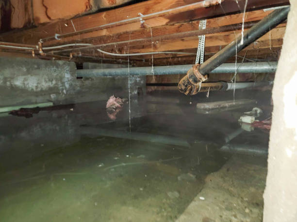  Wyoming, DE Water damage restoration Pros