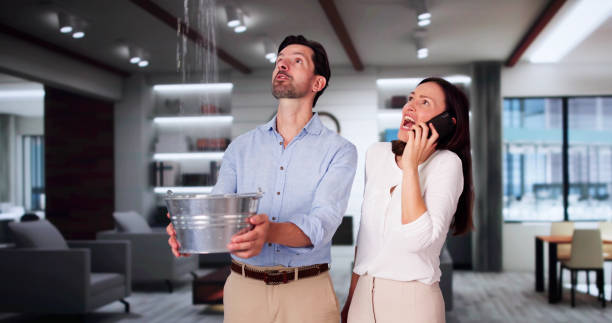 Best Ceiling water damage repair  in Wyoming, DE